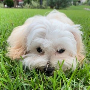 Meet your Posher, Vicky